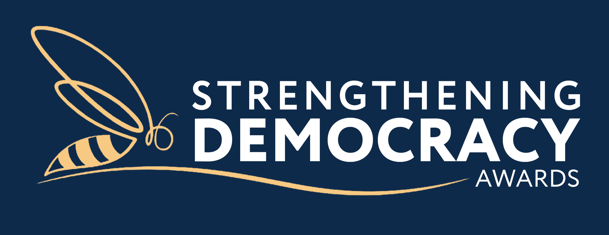 2025 Strengthening Democracy Awards